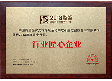 行业匠心企业